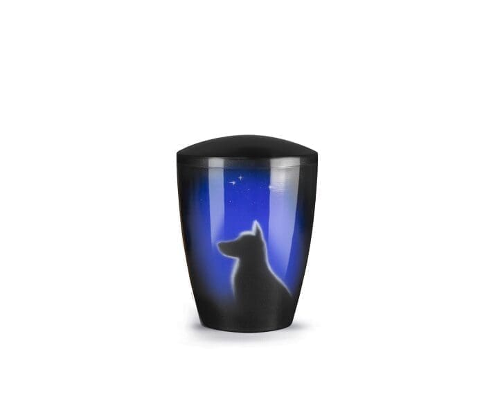 A11